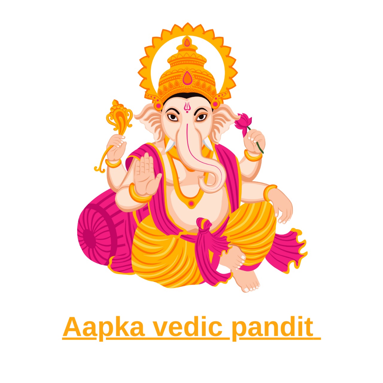 aapkavedicpandit.com